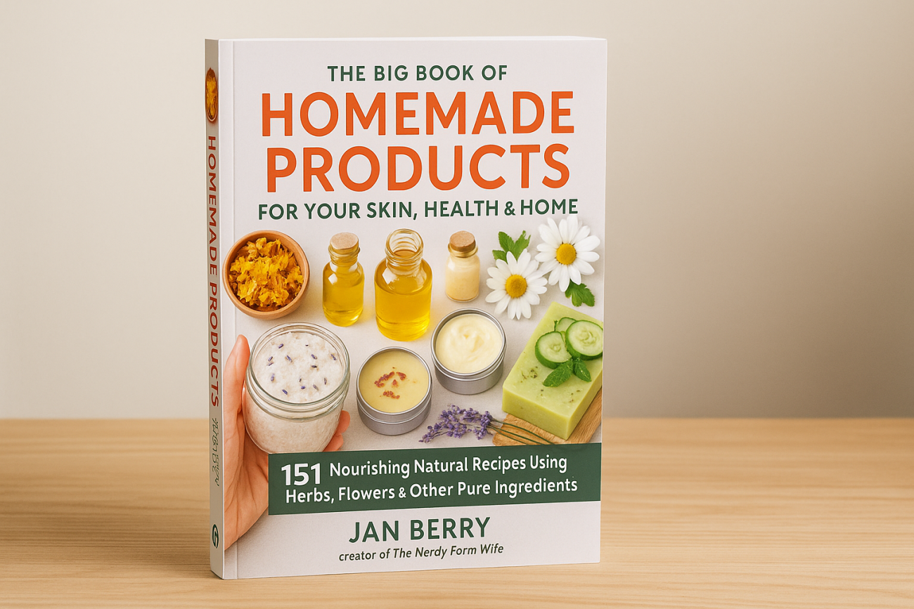 The Big Book of Homemade Products for Your Skin, Health and Home – Expert Review